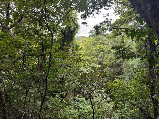 Oasis off-grid con quebrada y pozo cerca de Playa Hermosa – 4.5 manzanas - Imagen 18