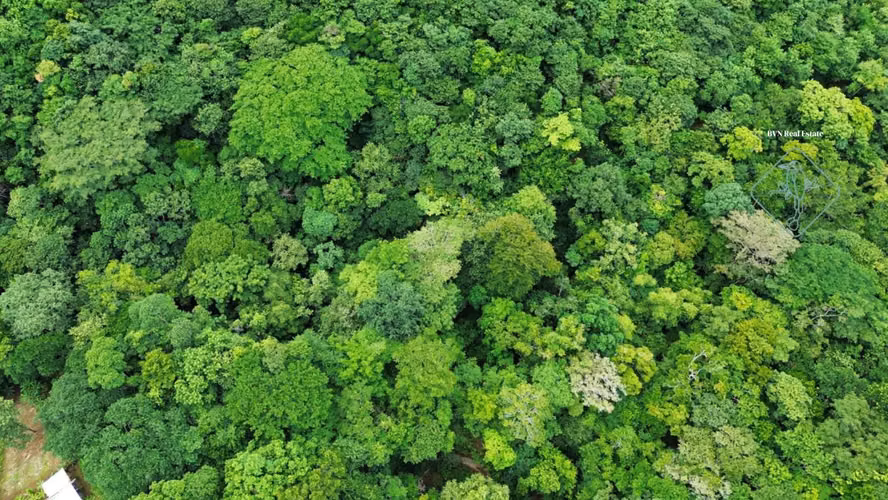 Oasis off-grid con quebrada y pozo cerca de Playa Hermosa – 4.5 manzanas - Imagen 9