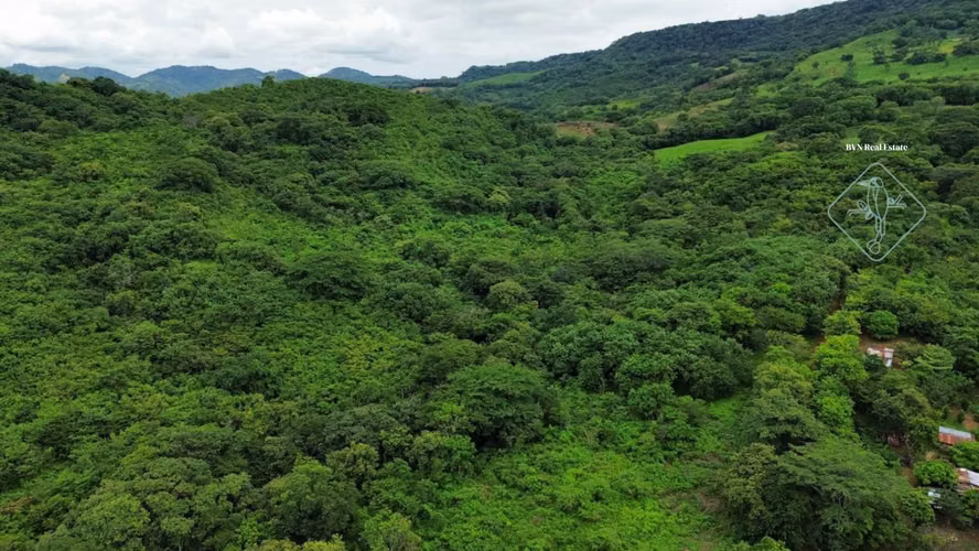 Oasis off-grid con quebrada y pozo cerca de Playa Hermosa – 4.5 manzanas - Imagen 4