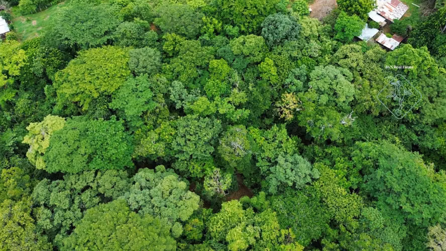 Oasis off-grid con quebrada y pozo cerca de Playa Hermosa – 4.5 manzanas - Imagen 10