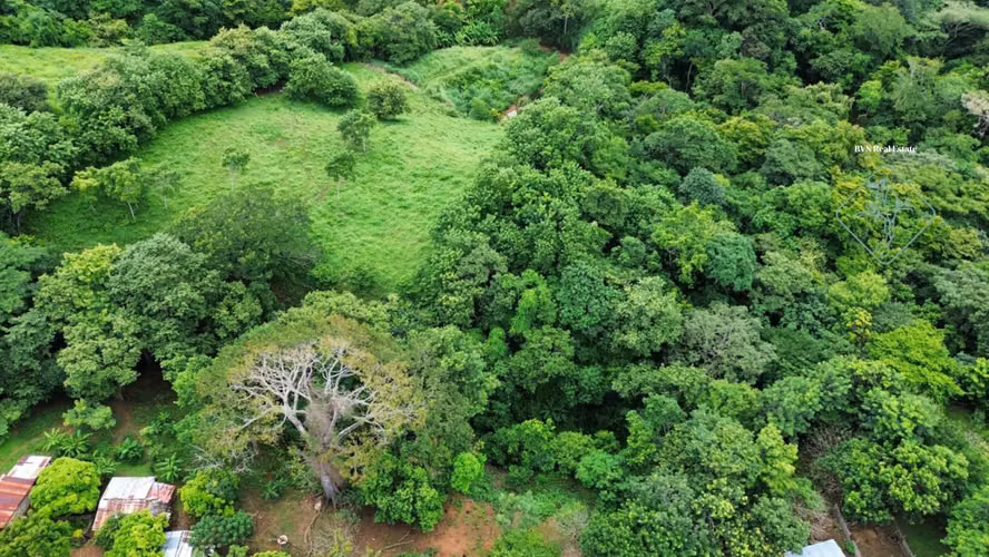 Oasis off-grid con quebrada y pozo cerca de Playa Hermosa – 4.5 manzanas - Imagen 6