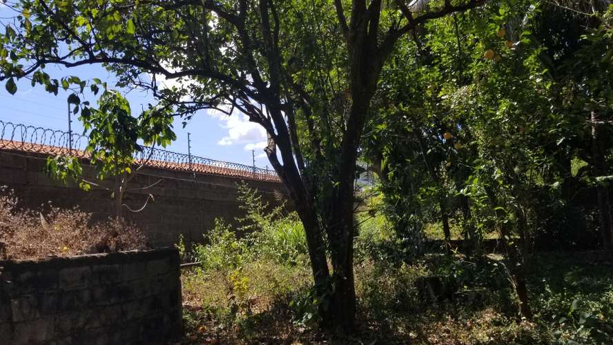 Venta de amplio lote de terreno en km 15.9 C. Masaya - Imagen 5