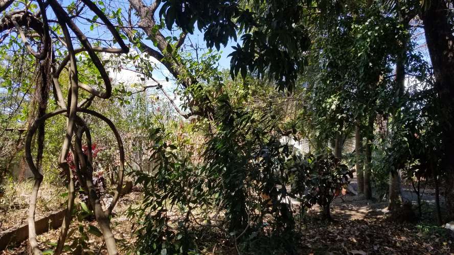 Venta de amplio lote de terreno en km 15.9 C. Masaya - Imagen 2