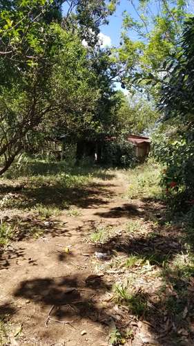 Venta de amplio lote de terreno en km 15.9 C. Masaya - Imagen 7