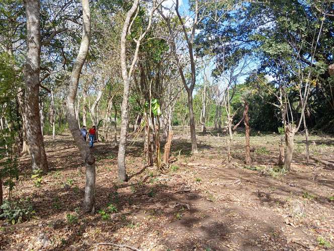 Venta de Terreno en Jinotepe , Carazo  - Imagen 2