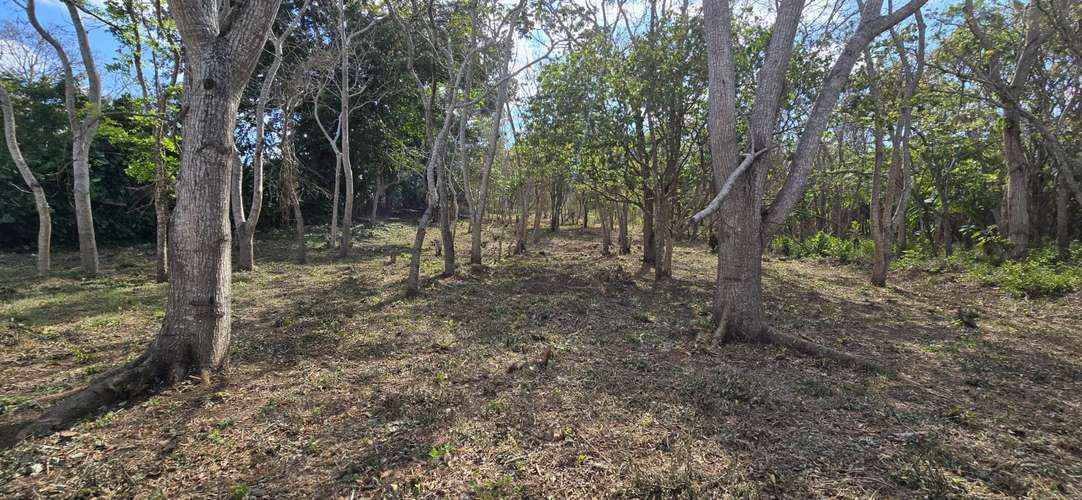 Venta de Terreno en Jinotepe , Carazo  - Imagen 6