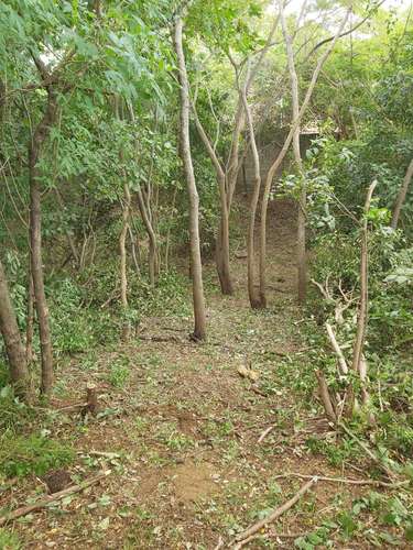  LOTE EN VENTA | ALTOS DE TICOMO - Imagen 3