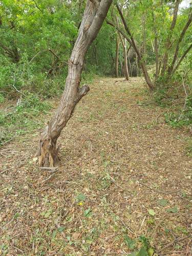  LOTE EN VENTA | ALTOS DE TICOMO - Imagen 7