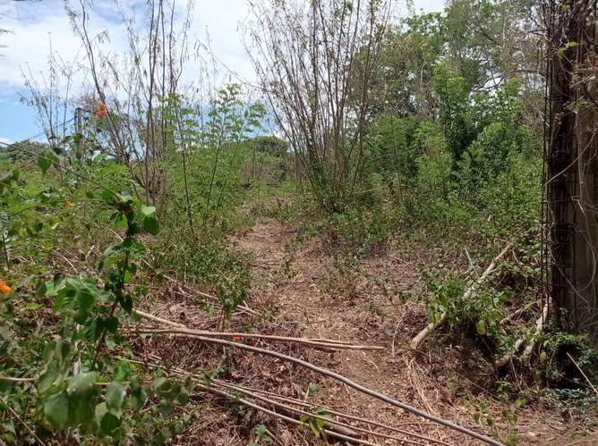 Venta de Terreno en San Isidro de la Cruz Verde  - Imagen 2