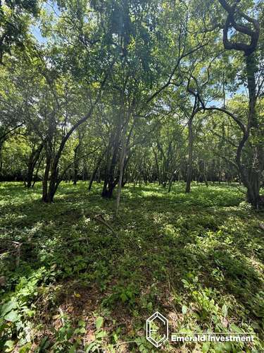 Golf Course Lot E7 in Hacienda Iguana | Half-Acre Homesite Near Playa Colorado - Imagen 5