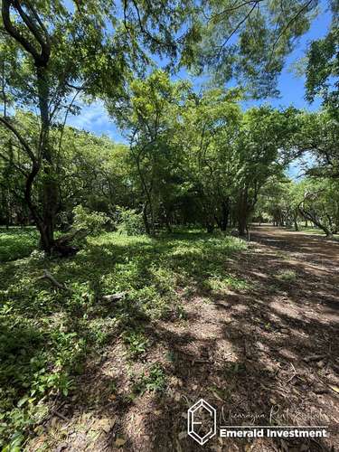 Golf Course Lot E7 in Hacienda Iguana | Half-Acre Homesite Near Playa Colorado - Imagen 10