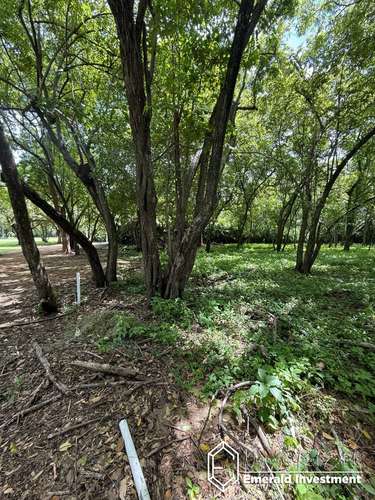 Golf Course Lot E7 in Hacienda Iguana | Half-Acre Homesite Near Playa Colorado - Imagen 9