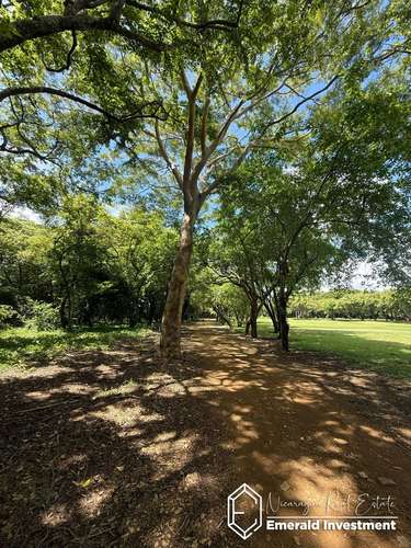 Golf Course Lot E7 in Hacienda Iguana | Half-Acre Homesite Near Playa Colorado - Imagen 6