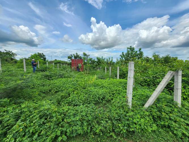 En venta terreno primera etapa residencial las Camelias km 13 carretera vieja a león 