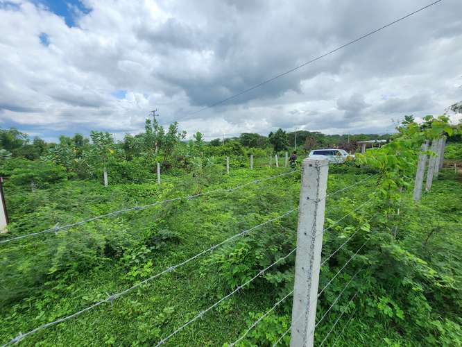 En venta terreno primera etapa residencial las Camelias km 13 carretera vieja a león 