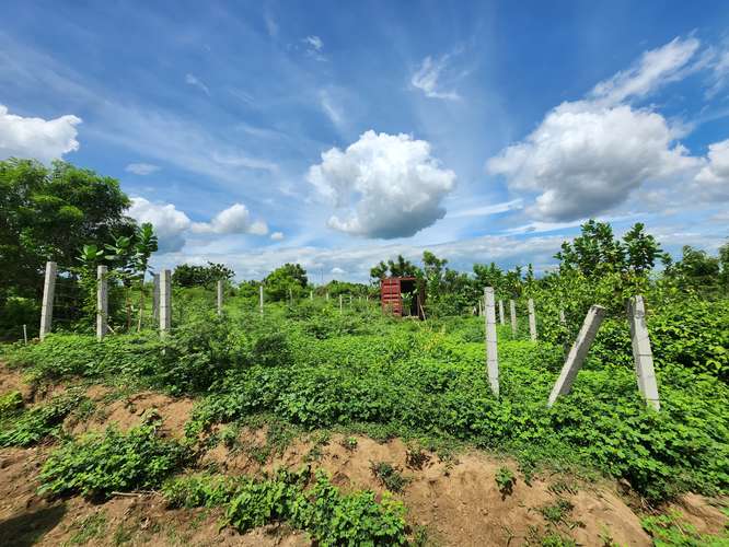 En venta terreno primera etapa residencial las Camelias km 13 carretera vieja a león 