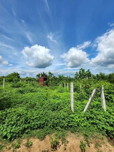En venta terreno primera etapa residencial las Camelias km 13 carretera vieja a león 