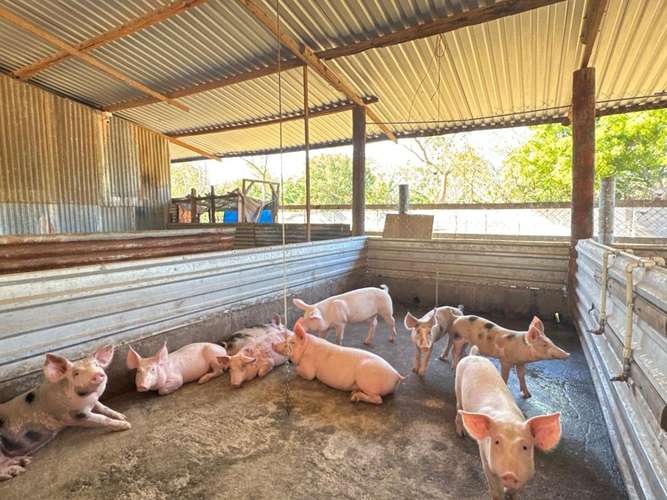 Venta de Quinta en Las Conchitas, Nindirí - Imagen 14