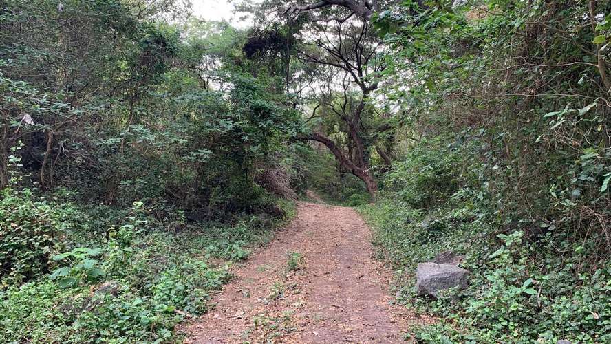 Venta de Finca en Granada 