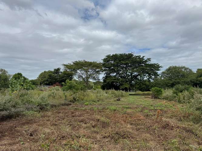 Venta de Terreno en Las Brisas  - Imagen 14