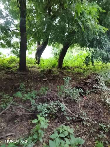 Venta Lindo lote de terreno ubicado en una de las Residencial más segura y de mayor confialidad de seguridad - Imagen 4