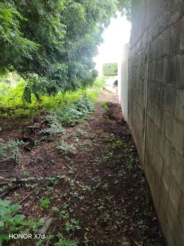 Venta Lindo lote de terreno ubicado en una de las Residencial más segura y de mayor confialidad de seguridad - Imagen 5