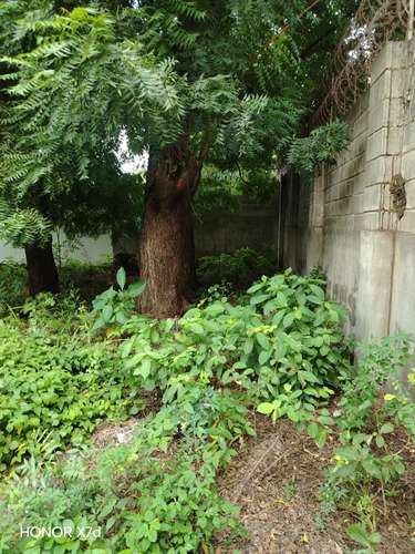 Venta Lindo lote de terreno ubicado en una de las Residencial más segura y de mayor confialidad de seguridad - Imagen 2