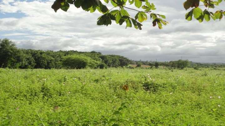 Venta de Terreno Carretera a Veracruz  - Imagen 15