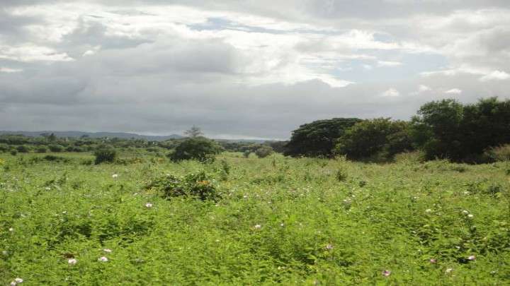 Venta de Terreno Carretera a Veracruz  - Imagen 5