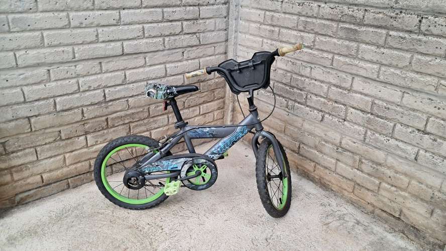 BICICLETA #16 