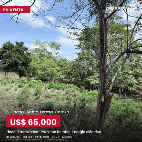Finca de 11 manzanas en venta en El Cacao, Carazo – con pozo y energía, US$ 65,000 - Imagen 10