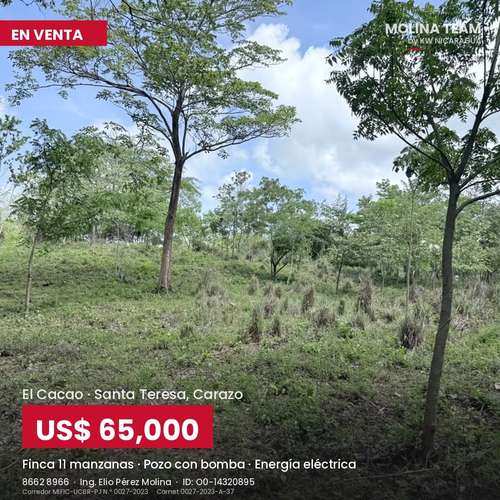 Finca de 11 manzanas en venta en El Cacao, Carazo – con pozo y energía, US$ 65,000 - Imagen 9