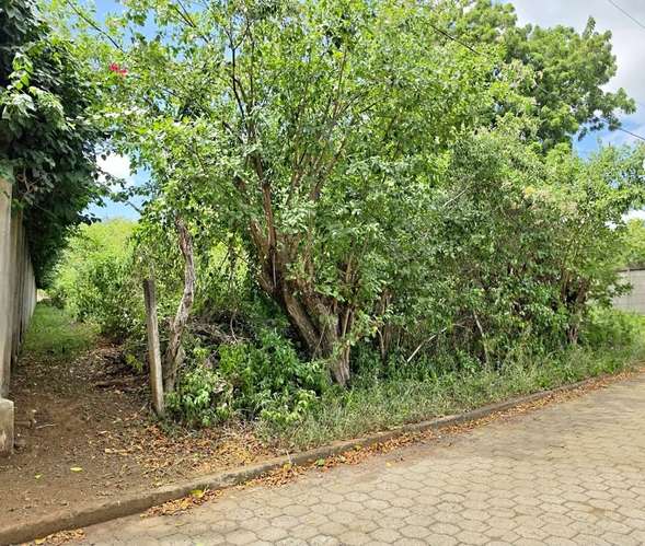 OA-TERRENO ESQUINERO EN VENTA | CARRETERA VIEJA A LEÓN, MANAGUA - Imagen 5
