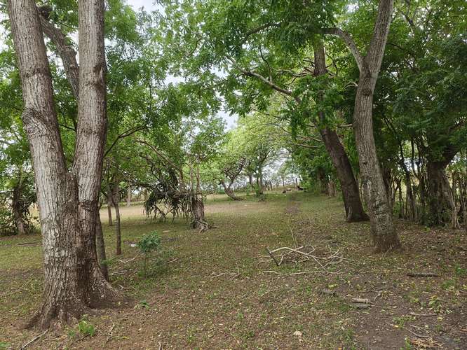 Finca o Terreno en Venta linda para quinta de descanso  - Imagen 5