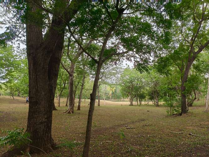 Finca o Terreno en Venta linda para quinta de descanso  - Imagen 2