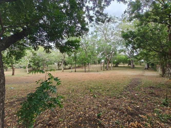Finca o Terreno en Venta linda para quinta de descanso  - Imagen 4