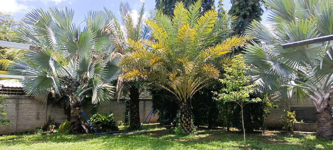 EM-Propiedad independiente estilo moderno en Venta, km 12 Carretera Masaya, Calle Los Vanegas - Imagen 18
