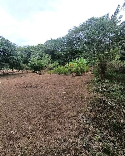 EM -Venta de Terreno en km 16 Carretera a Ticuantepe - Imagen 3