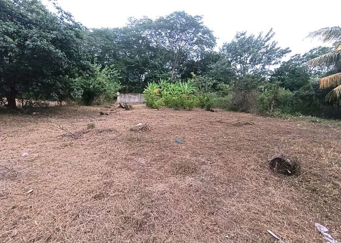 EM -Venta de Terreno en km 16 Carretera a Ticuantepe - Imagen 2