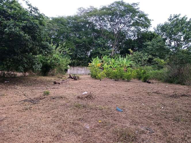 EM -Venta de Terreno en km 16 Carretera a Ticuantepe - Imagen 7