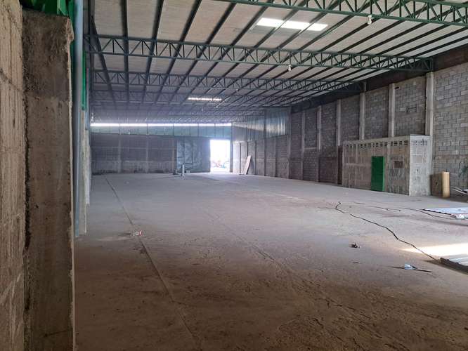 Alquilo Bodega 800 m2 Km.26.5 Carretera Panamericana norte. - Imagen 3