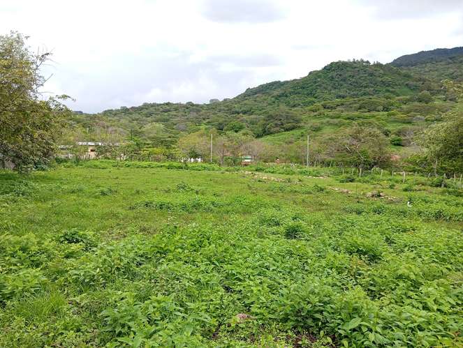 Vendo terreno amplio de 22x 18 mts en San Roque - Imagen 2