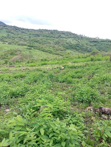 Vendo terreno amplio de 22x 18 mts en San Roque - Imagen 4
