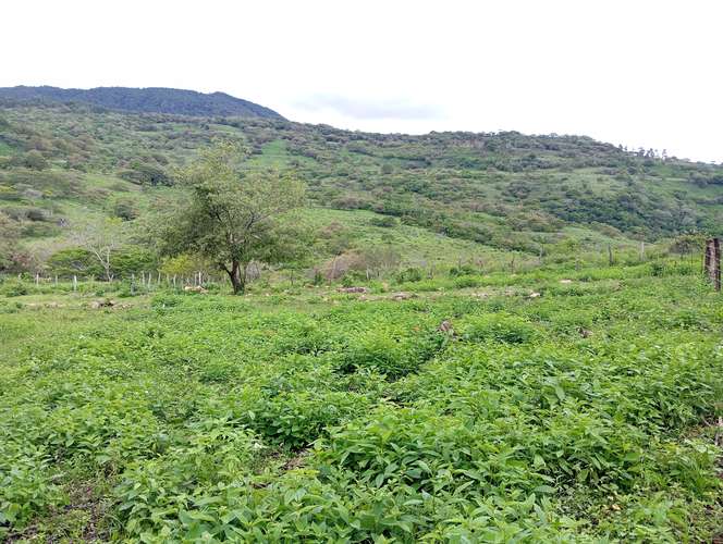 Vendo terreno amplio de 22x 18 mts en San Roque - Imagen 5