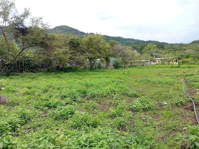 Vendo terreno amplio de 20x 15 mts  - Imagen 2