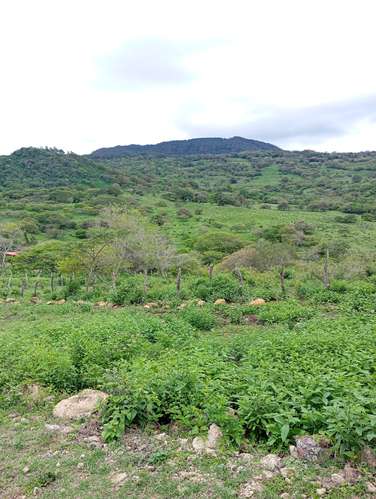 Vendo terreno amplio de 20x 15 mts  - Imagen 4