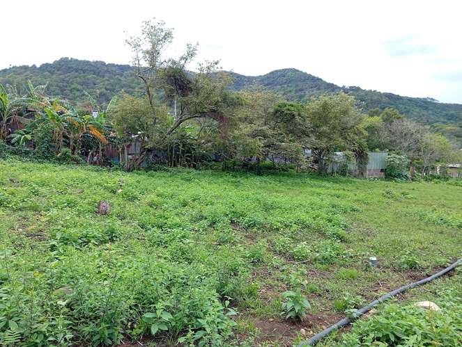 Vendo terreno amplio de 20x 15 mts  - Imagen 3