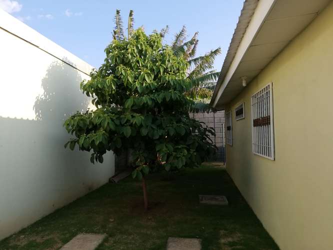 Se alquila vivienda  de 3 habitaciones, 1 baño, área de garaje, totalmente cerrada. - Imagen 2