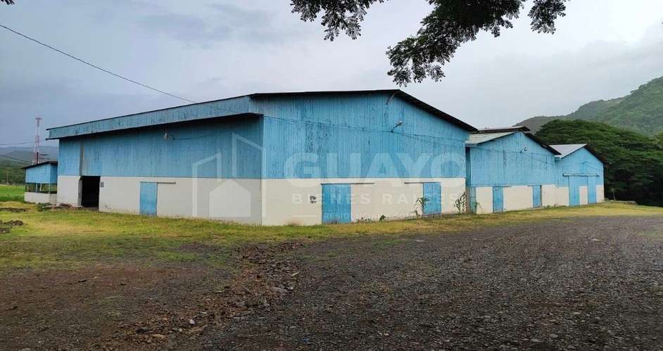 Excelente bodega en venta en Matagalpa - Imagen 8