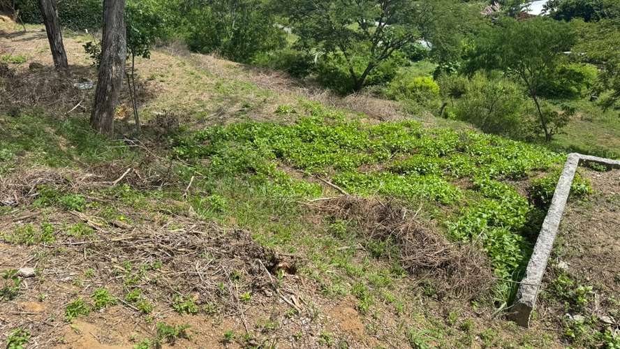 Venta de terreno con vista espectacular toda Managua. - Imagen 7